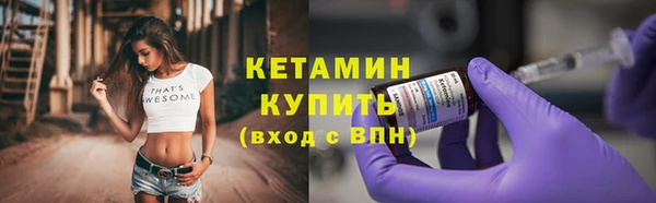 шишки Весьегонск