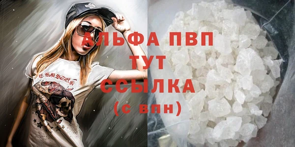 мдпв Пересвет