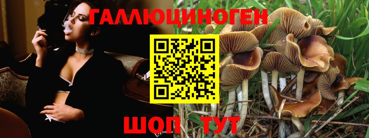 Галлюциногенные грибы MAGIC MUSHROOMS  Волжск  Галлюциногенные грибы мицелий 
