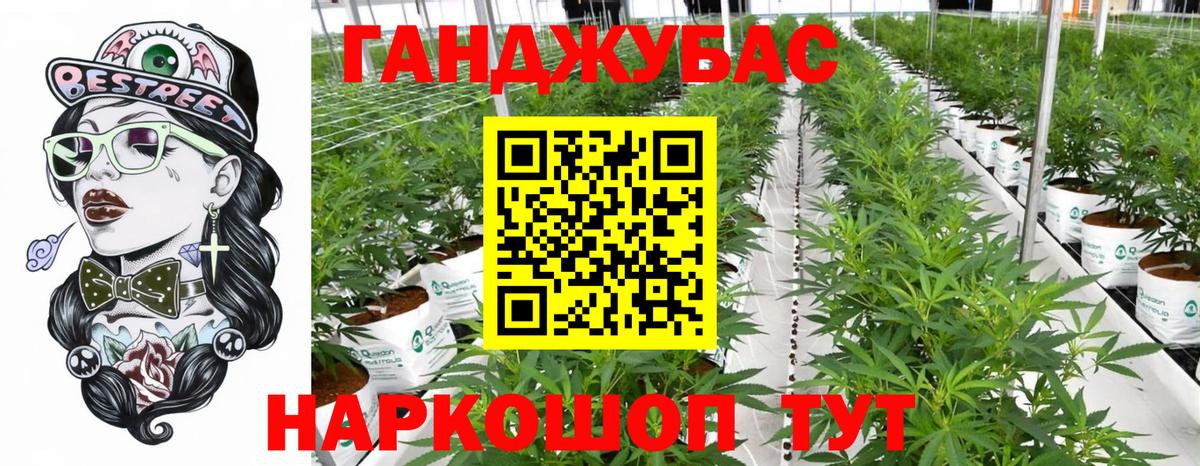 Волжск  Каннабис план  МАРИХУАНА OG Kush  Бошки марихуана гибрид  Вход с VPN 